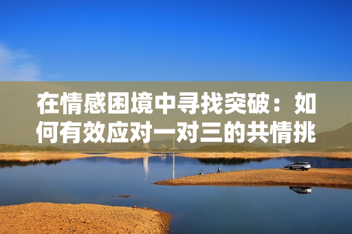在情感困境中寻找突破：如何有效应对一对三的共情挑战