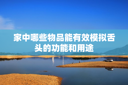 家中哪些物品能有效模拟舌头的功能和用途