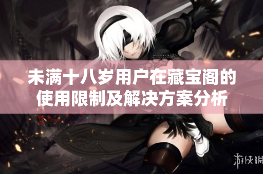 未满十八岁用户在藏宝阁的使用限制及解决方案分析