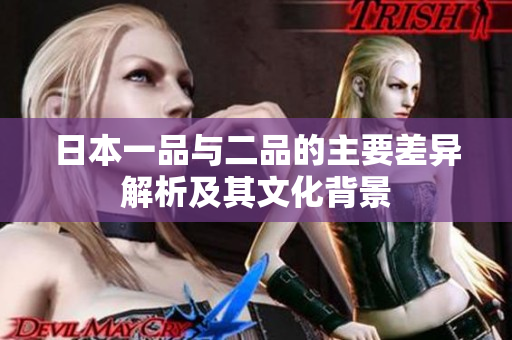 日本一品与二品的主要差异解析及其文化背景