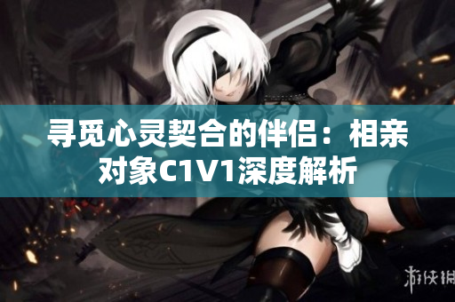 寻觅心灵契合的伴侣：相亲对象C1V1深度解析