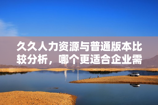 久久人力资源与普通版本比较分析，哪个更适合企业需求