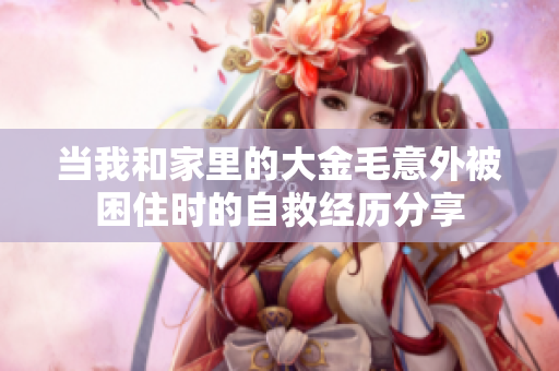 当我和家里的大金毛意外被困住时的自救经历分享