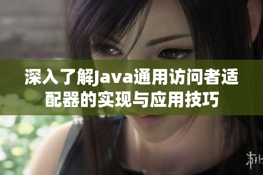 深入了解Java通用访问者适配器的实现与应用技巧