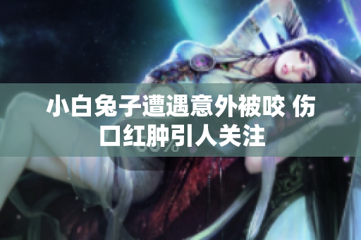 小白兔子遭遇意外被咬 伤口红肿引人关注