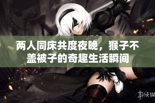 两人同床共度夜晚，猴子不盖被子的奇趣生活瞬间