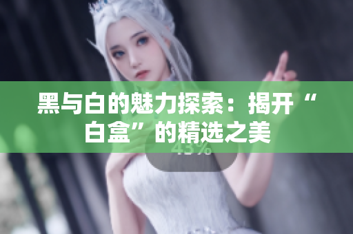 黑与白的魅力探索：揭开“白盒”的精选之美