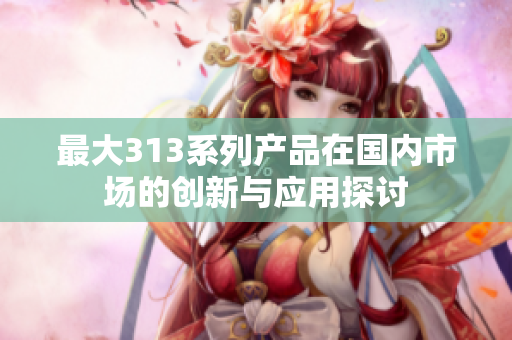 最大313系列产品在国内市场的创新与应用探讨