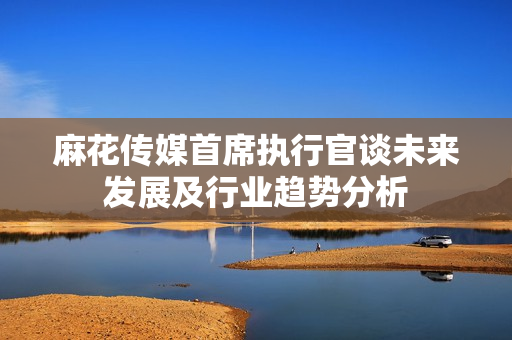 麻花传媒首席执行官谈未来发展及行业趋势分析